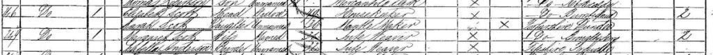 1891 dundee census elizabeth scott
