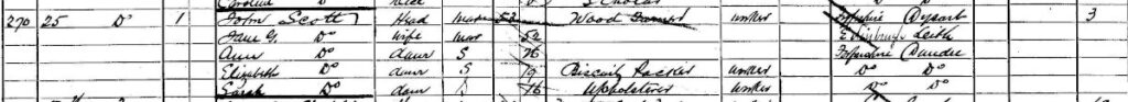 1901 census bonnybank dundee john scott