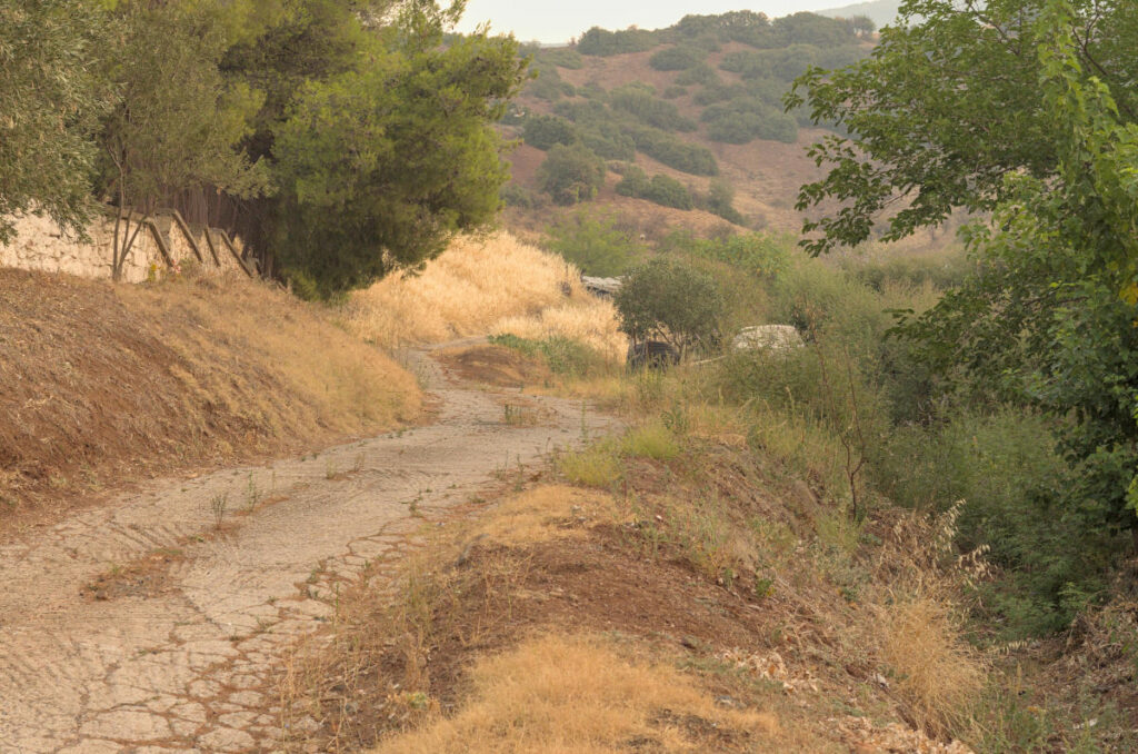 road leading to farm fields from exarchos