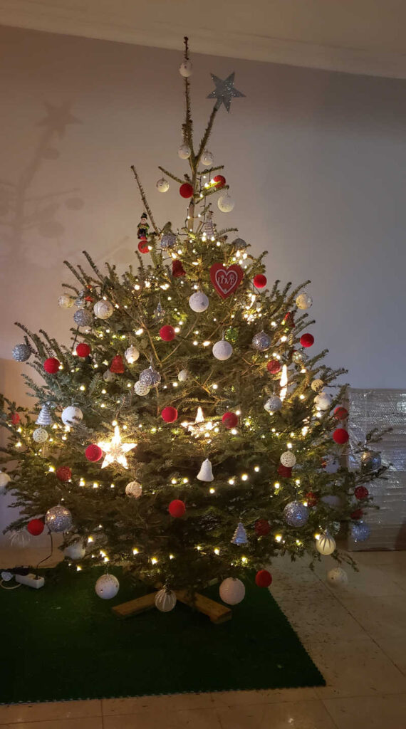 decorated real christmas tree