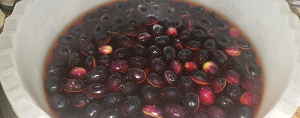 olives in water bath