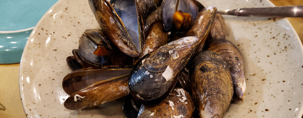 bowl of steamed mussels