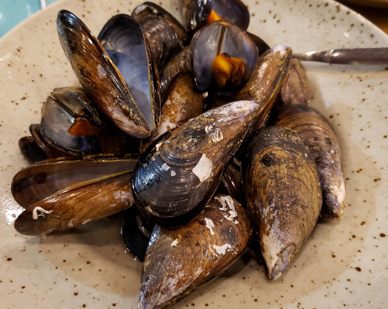 garlic and wine steamed mussels